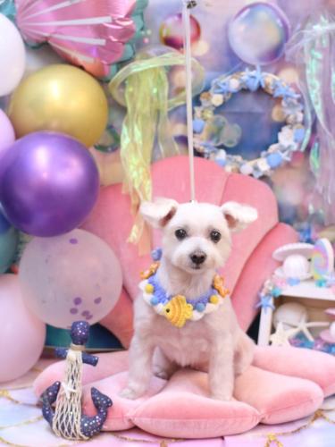 20240825ヒメちゃん